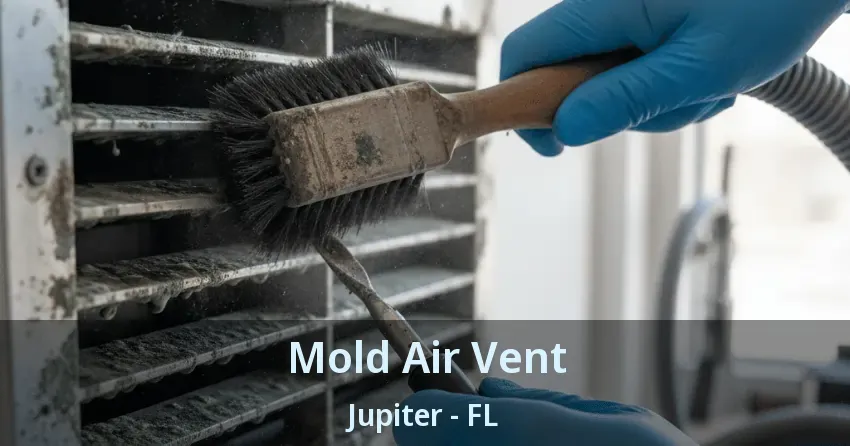 Mold Air Vent Jupiter - FL