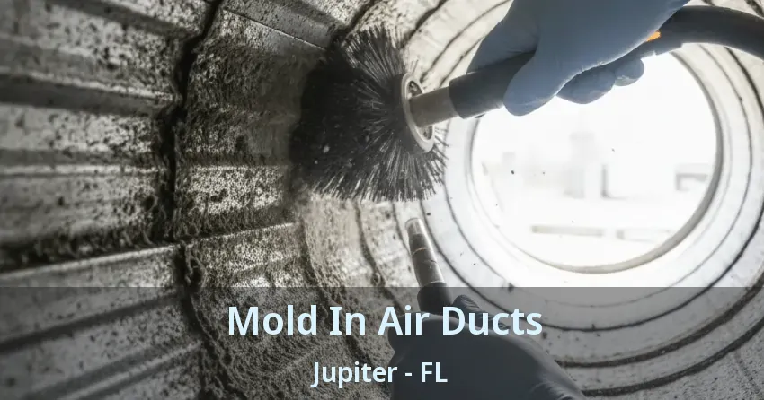 Mold In Air Ducts Jupiter - FL Mold In Air Ducts Jupiter - FL
