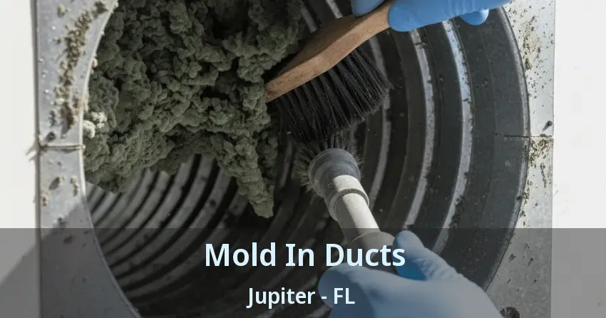 Mold In Ducts Jupiter - FL